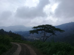 THGuatemala La Castalia