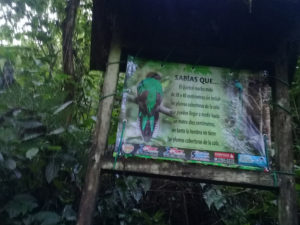 THGuatemala Refugio del Quetzal