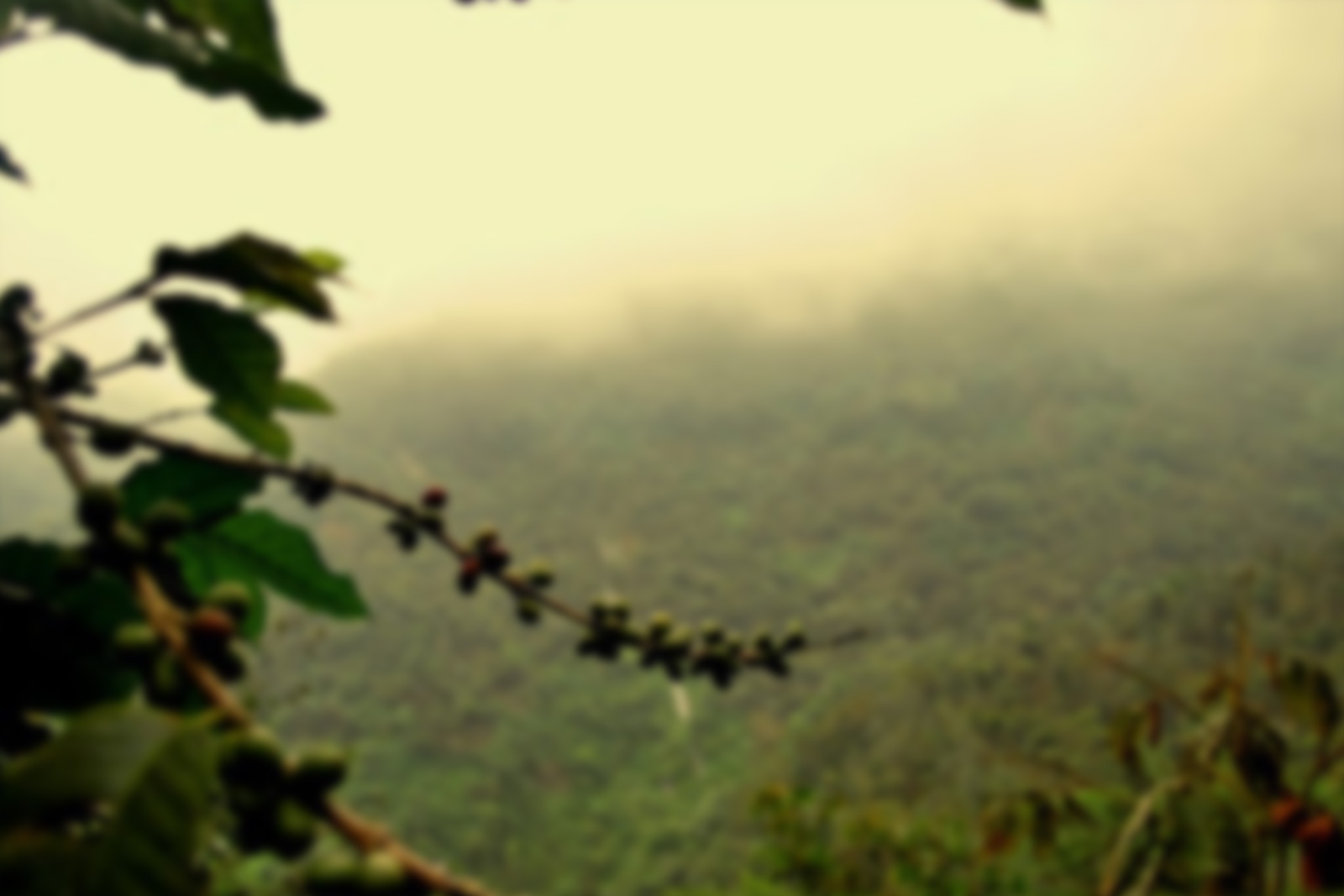 Family trip to Guatemala