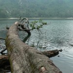 Trek to Chicabal Lagoon