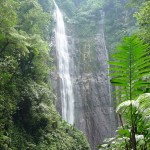 Waterfalls