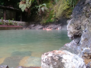 THGuatemala Fuentes Georginas