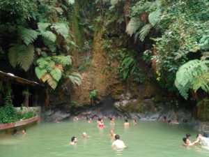 THGuatemala Fuentes Georginas