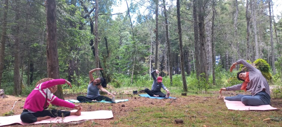 WELLNESS JOURNEY IN GUATEMALA - Image 5
