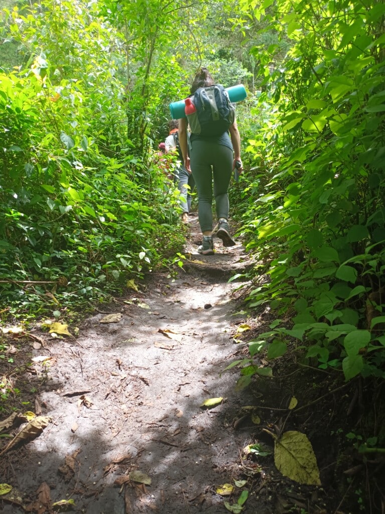 Hiking and Yoga