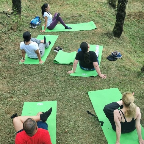 Wellness Journey