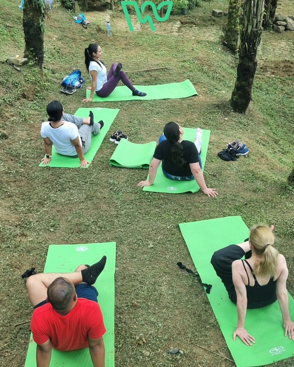 Wellness Journey