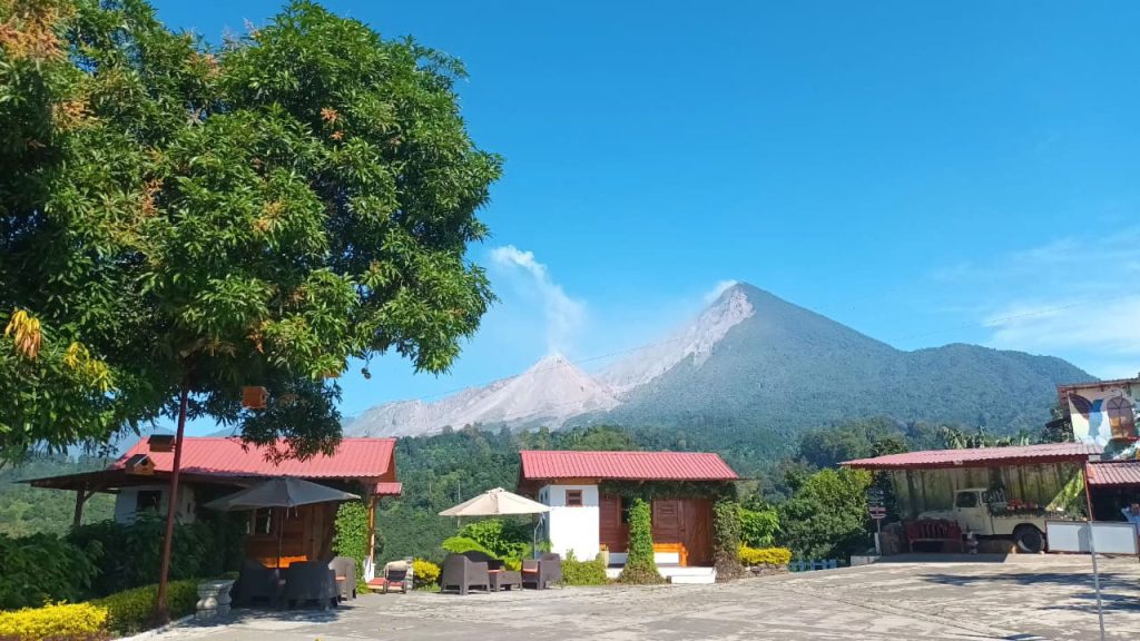 thguatemala-cooffee-plantions-and-volcanoes