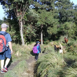 thguatemala-full-packages-spanish-immersion-trip