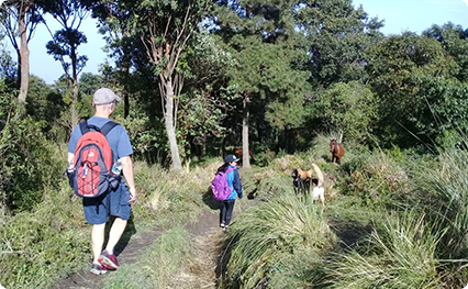 thguatemala-full-packages-spanish-immersion-trip