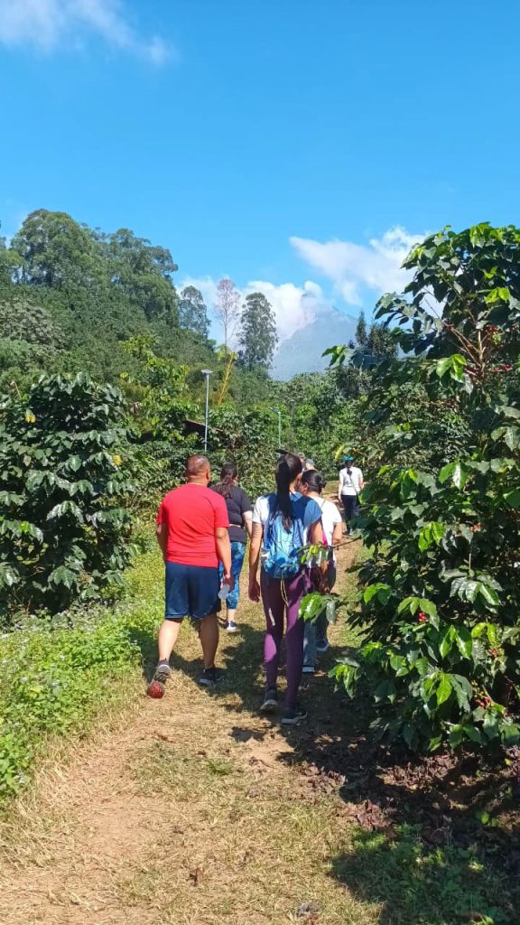 thguatemala-landscapes-wellness-journey