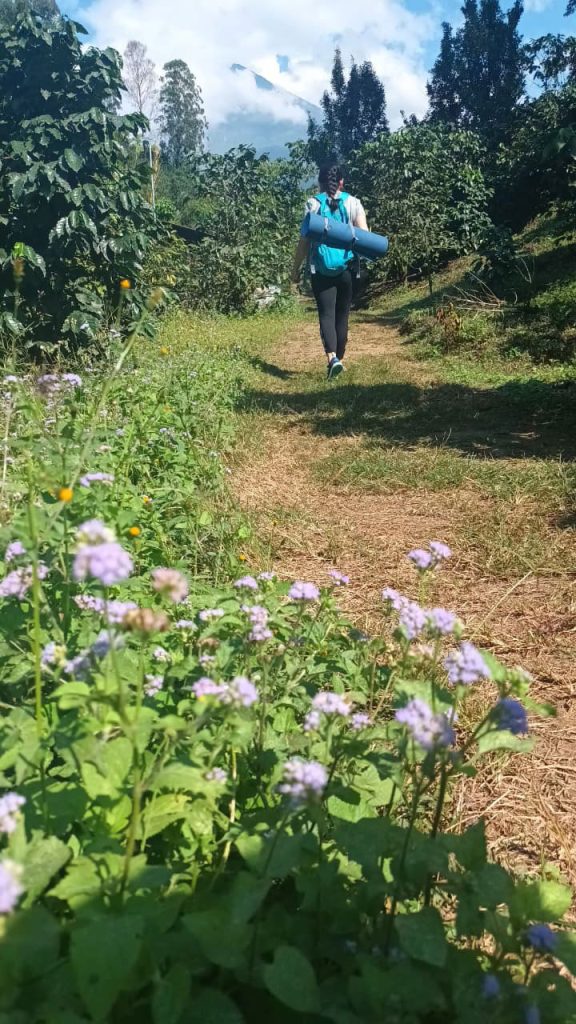 thguatemala-volcano-vew-wellness-journey